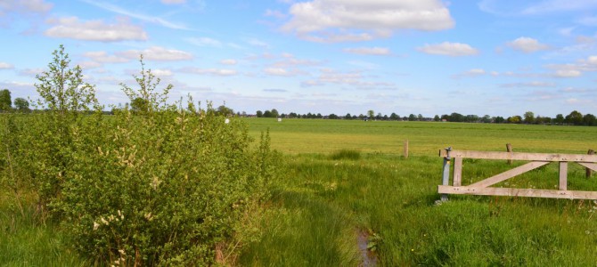 Foto’s Rijssen – Ligtenbergerdijk