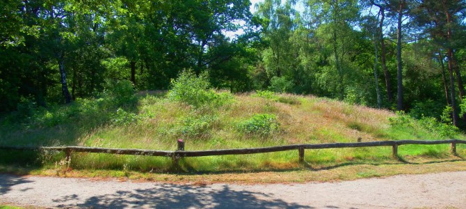 Natuurgebied friezenberg