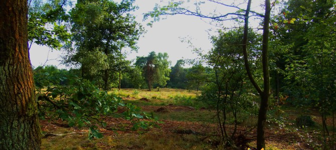 Natuurgebied de borkeld