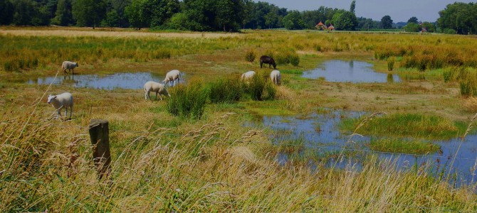 Natuurgebied Zuna