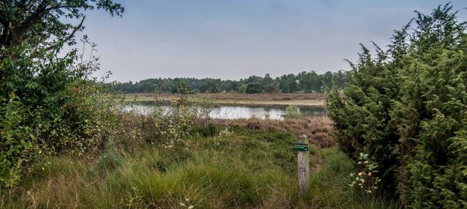 Bergvennen – Landschap Overijssel