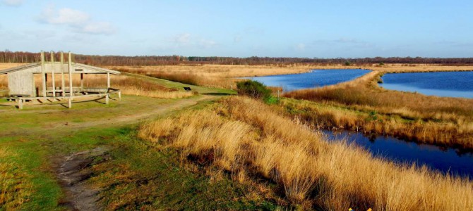 Natuurgebied De Engbertsdijksvenen