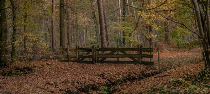 Wandelgebied Landgoed Het Lankheet in Haaksbergen