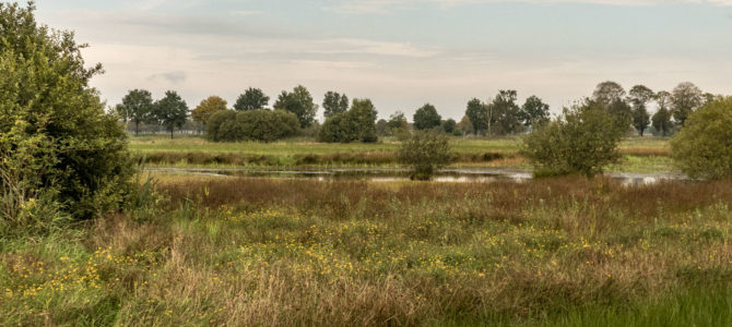 Natuurgebied Overtoom Middelveen