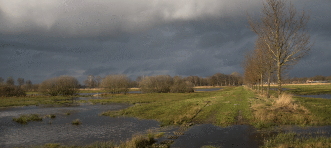 Natuurgebied Overtoom Middelveen