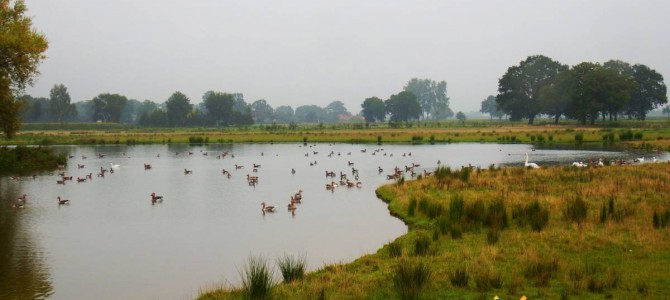 Natuurgebied Dakhorst te Wierden