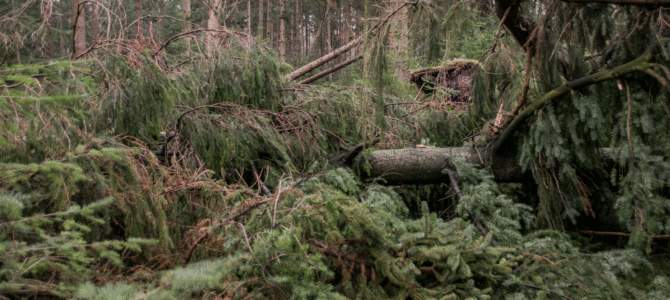 Natuurgebieden Notter