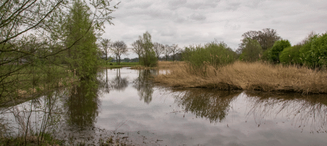 Schuttenbelt Waterberging en natuurgebied