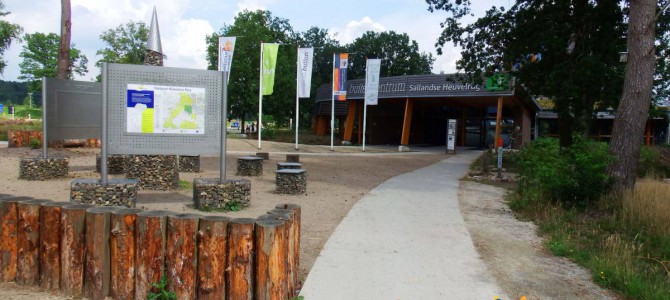 Wandelen op de sallandse heuvelrug