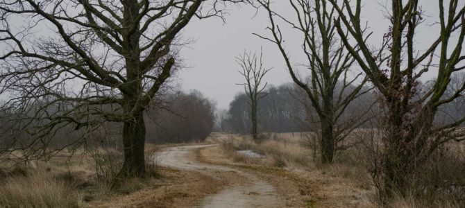 Wandelroute – Bargerveen Wandelroute – Bargerveen
