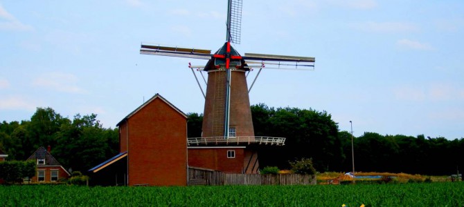 Korenmolen De Leeuw Korenmolen De Leeuw