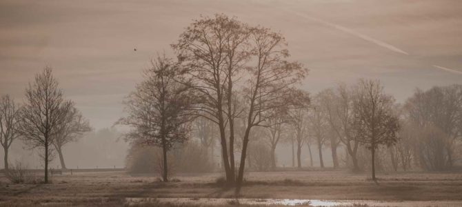 Winterfotos Middelveen Rijssen