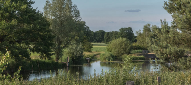 Fietsen en wandelen langs de Regge