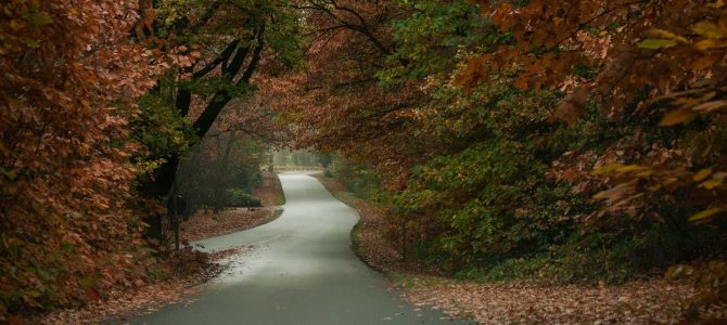 Wandelen Nationaal Park Sallandse Heuvelrug