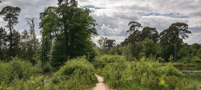 Wandelroute steile oever, Ommen