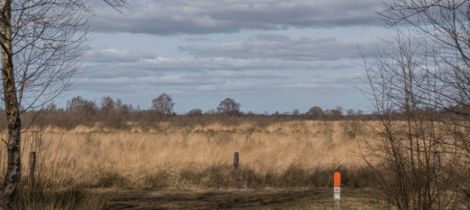 Wandelroute Engbertsdijksvenen